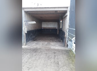 Offenstall an der Nordsee für Wallache Allergiker/COPD/Astma 