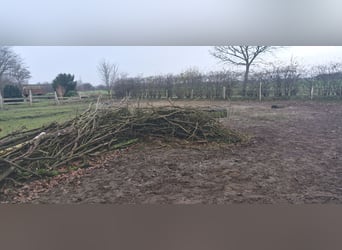 Offenstall für Pony 