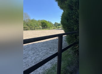 Offenstall Platz zu vergeben 