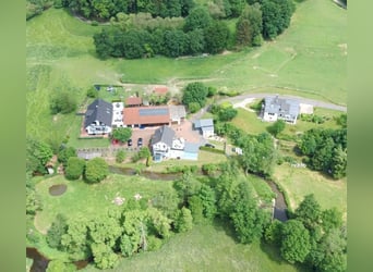 Raj dla koni na padokach w pobliżu jeziora Marbacher (Petersberg): wolne miejsca!