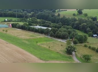 Dostępna boksa na padok