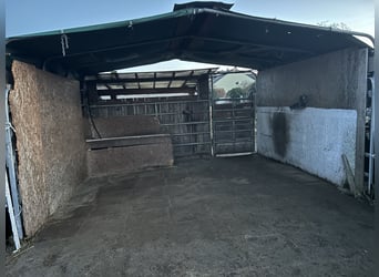 Dostępna boksa paddockowa