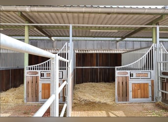 Dwa bardzo ładne boksy na padok dostępne od 1 grudnia