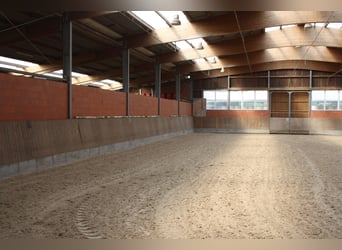 Moderne helle, luftige Paddockboxen und Stalltrakt auf traumhafter Gestütsanlage