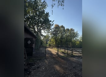 Wolne boksy