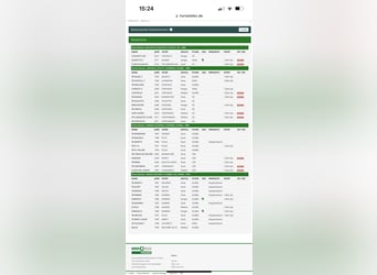 Oldenbourg, Hongre, 5 Ans, 169 cm, Bai