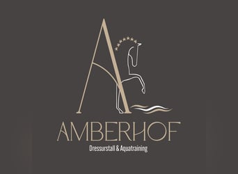 Oldenbourg, Jument, 3 Ans, 166 cm, Alezan