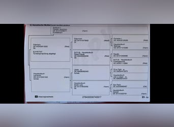 Oldenbourg, Jument, 9 Ans, 165 cm, Bai