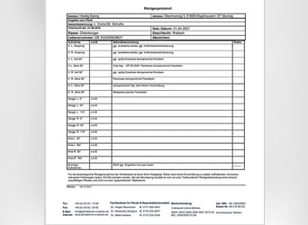 Oldenburg, Castrone, 5 Anni, 167 cm, Baio
