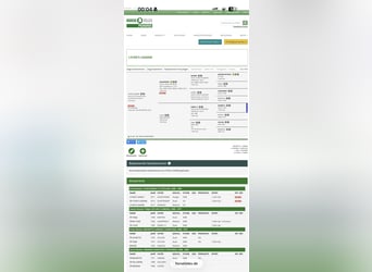 Oldenburg-International (OS), Mare, 13 years, 16 hh, Bay-Dark