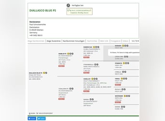 Oldenburg-International (OS), Mare, Foal (02/2026), Bay-Dark