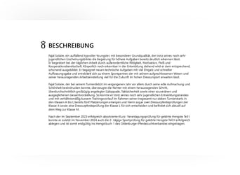Oldenburger, Hengst, 6 Jahre, 174 cm, Rappe