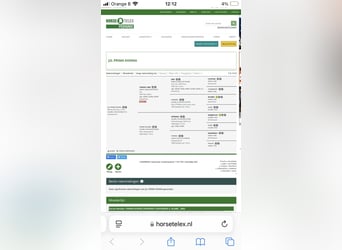 Oldenburger, Merrie, 13 Jaar, 172 cm, Donkere-vos