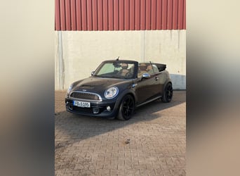 Oldenburger Springpferd, Ogier, 2 lat, Kasztanowata