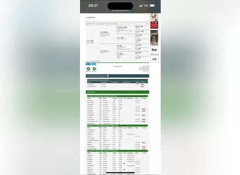 Oldenburger Springpferd, Wałach, 5 lat, 168 cm, Gniada