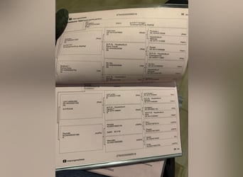 Oldenburgo, Yegua, 7 años, 180 cm, Castaño rojizo