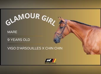 Other Warmbloods, Mare, 9 years, Brown