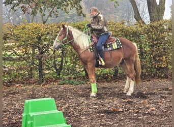 Otras razas, Caballo castrado, 3 años, 154 cm, Alazán