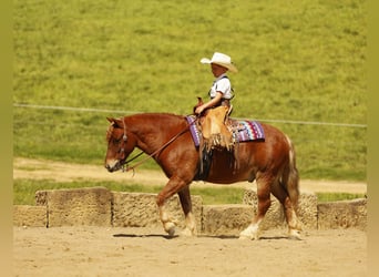 Otras razas, Caballo castrado, 6 años, 117 cm, Alazán rojizo