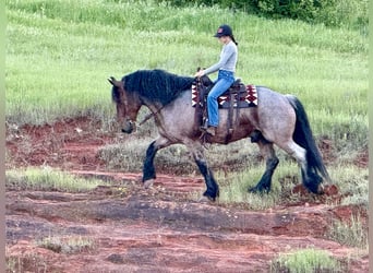 Otras razas, Caballo castrado, 8 años, 163 cm, Castaño-ruano