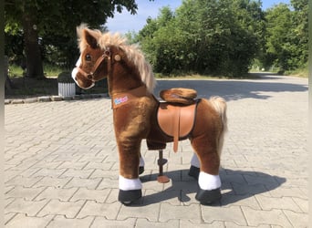 Otras razas, Caballo castrado, 8 años, 70 cm, Negro