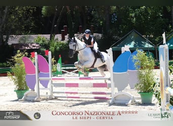 Otras razas, Yegua, 14 años