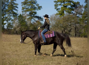 Paint Horse, Caballo castrado, 7 años, 150 cm, Negro