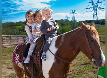 Paint Horse, Castrone, 10 Anni, 142 cm, Tobiano-tutti i colori