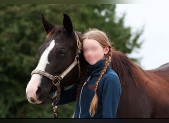 Paint Horse, Klacz, 10 lat, 148 cm, Kara