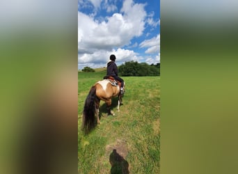 Paint Horse, Klacz, 6 lat, 151 cm, Tobiano wszelkich maści