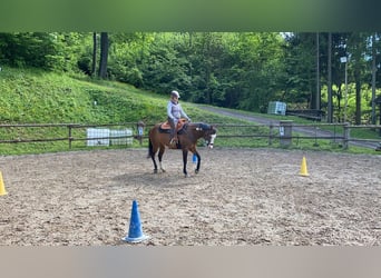 Paint Horse, Mare, 10 years, 14,2 hh, Overo-all-colors