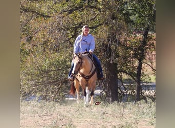 Paint Horse, Merrie, 9 Jaar, 152 cm, Grullo