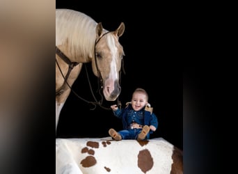 Paint Horse, Wałach, 8 lat, 145 cm, Tobiano wszelkich maści