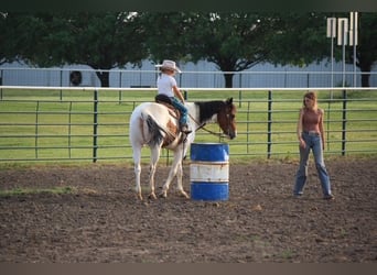 Paint Horse, Yegua, 4 años, 152 cm