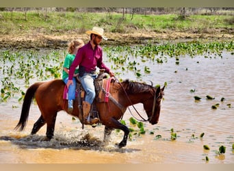 Paint Horse, Yegua, 7 años, 152 cm, Alazán-tostado