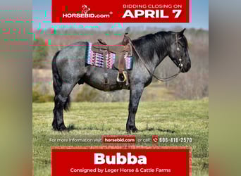 Percheron Croisé, Hongre, 4 Ans, 165 cm, Rouan Bleu
