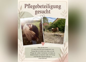Pflegebeteiligung in Berlin gesucht