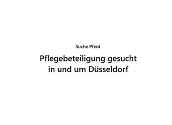 Pflegebeteiligung zum Einstieg in das Pferdewesen