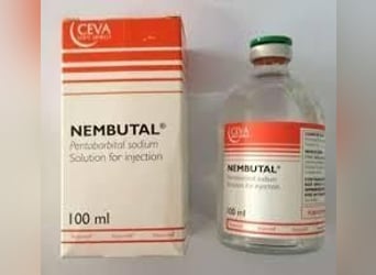  Nembutal  Online without prescription .