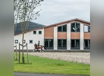 Opportunità di lavoro – Cavaliere di dressage