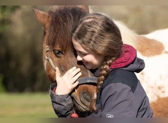 Reitlehrer*in   für Thüringen Jena gesucht