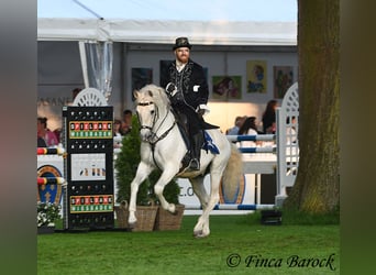 Bereiter (in) / Stallhelfer (in) nach Wiebelsheim gesucht