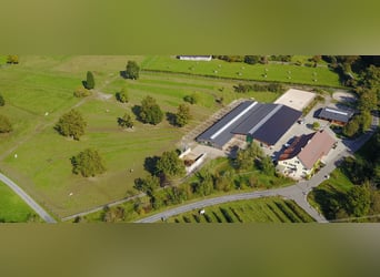 Esperto/a in medicina e cura dei cavalli, 50-100%, presso il Centro per la Salute e la Medicina Equi