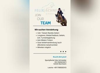 Offerta di lavoro immediatamente disponibile!