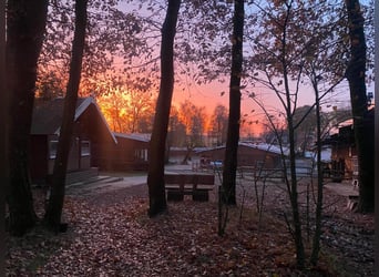 Reiterhotel Vox Mitarbeiter in Festanstellung, sowie  Praktikumsplätze