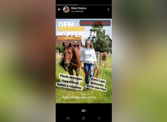 Praktikumsplatz ab September 