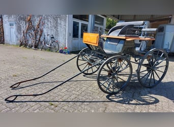 Carrozza da dressage a 1 cavallo per grandi cavalli