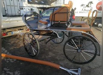 Carrozza da maratona di altissima qualità