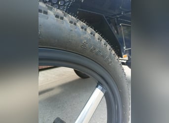 Carrozza da Maratona Disponibile – Vprege Repnik