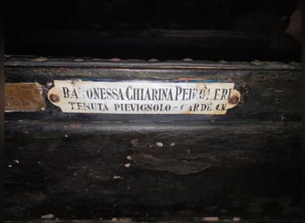 Carrozza d’epoca